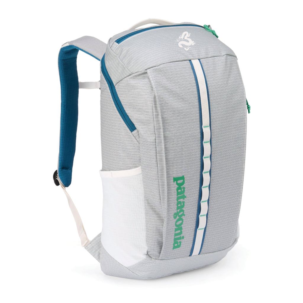 Patagonia Black Hole Pack 25L