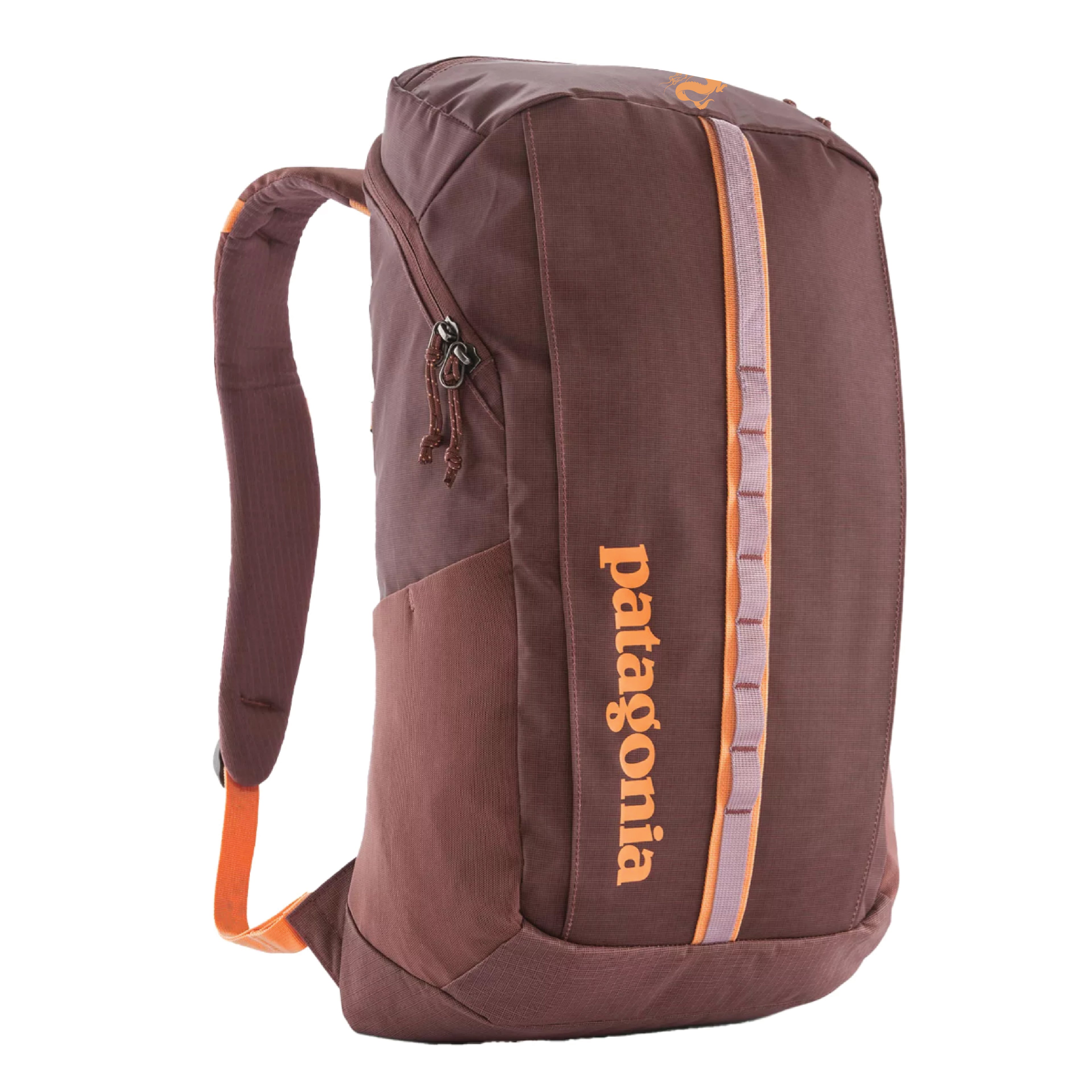 Patagonia Black Hole Pack 25L