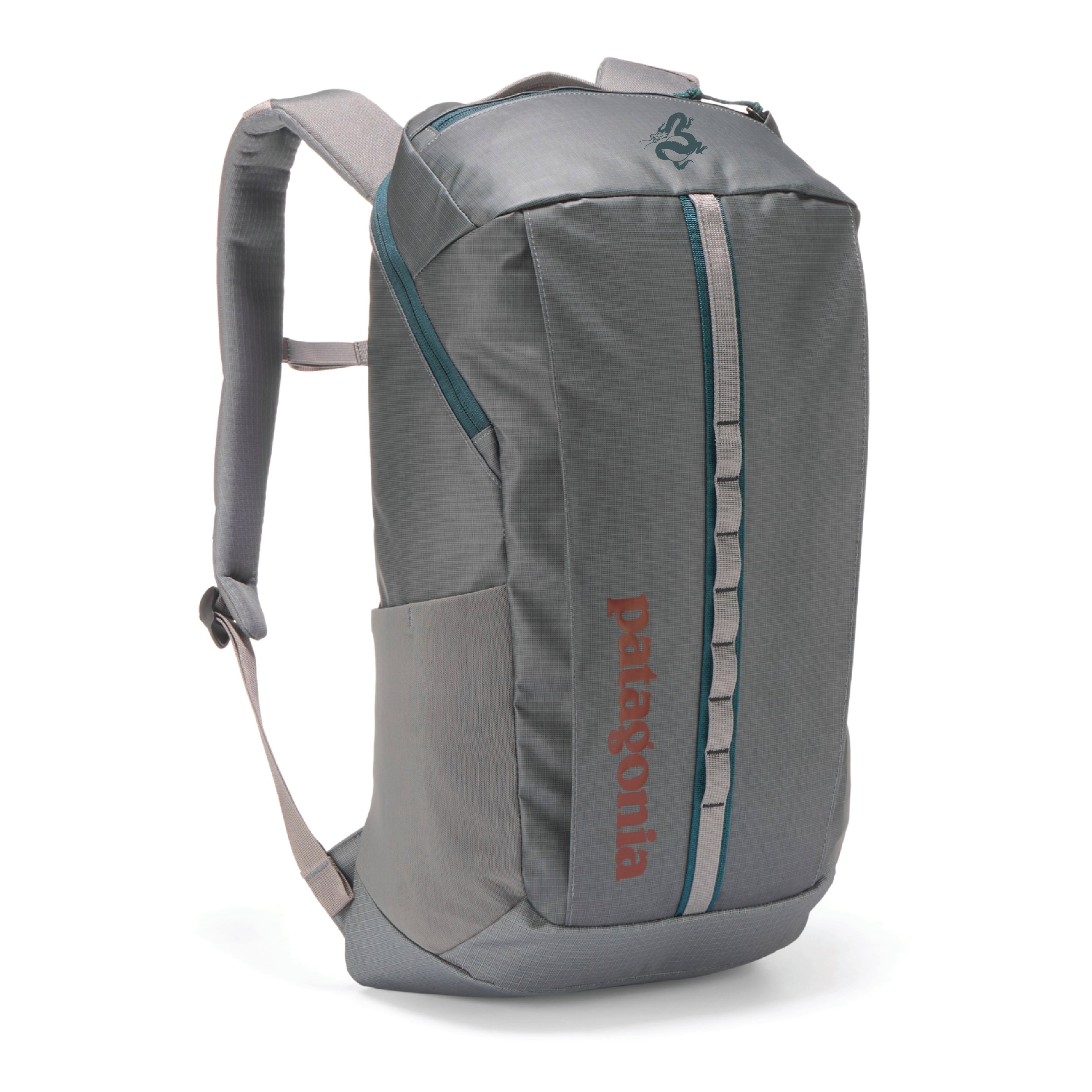 Patagonia Black Hole Pack 25L