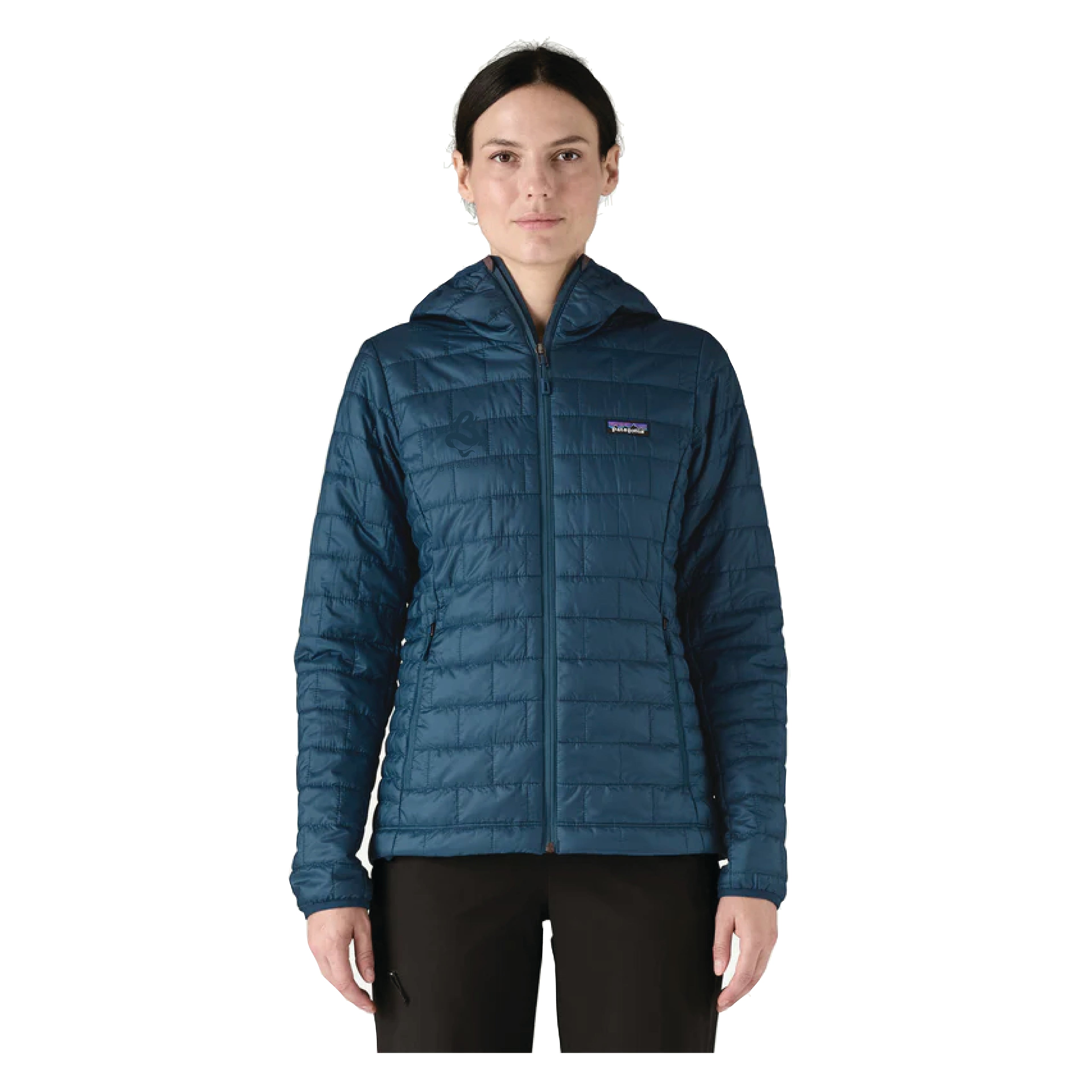 Patagonia Nano Puff Hoody (Women's)